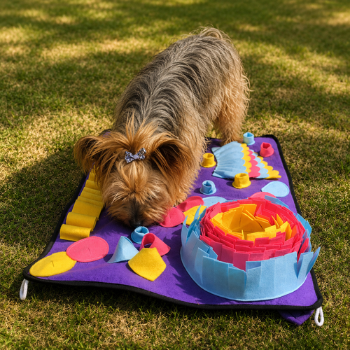 Alfombra Olfativa para Mascotas | Perros y Gatos | Woofness