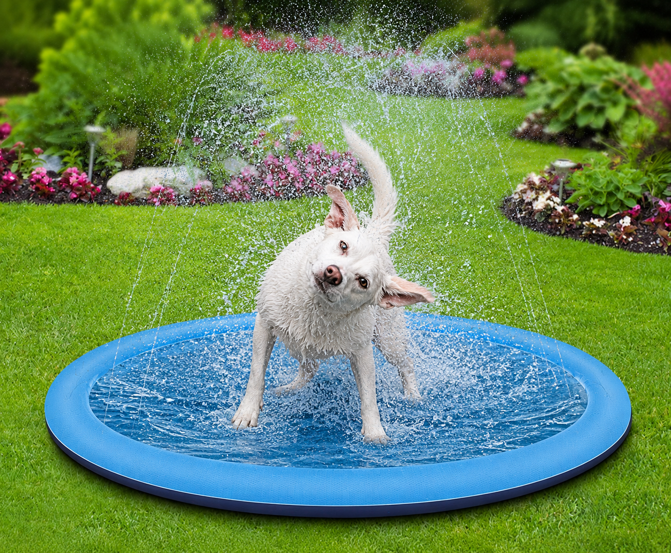 SplashWoof — Alfombra de Agua para Perros